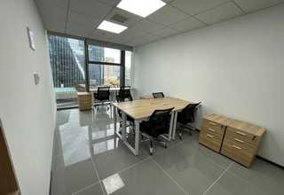 面瘫疾病动物模型建模说明书