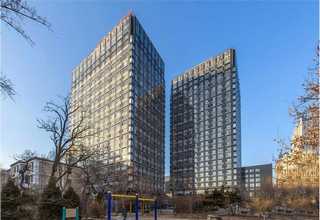 温州红美人货源充足