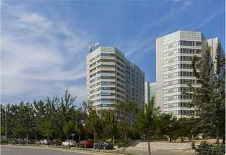 邯郸图腾合金锯片制造