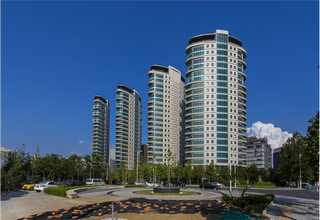 江苏自动切菜机在线咨询